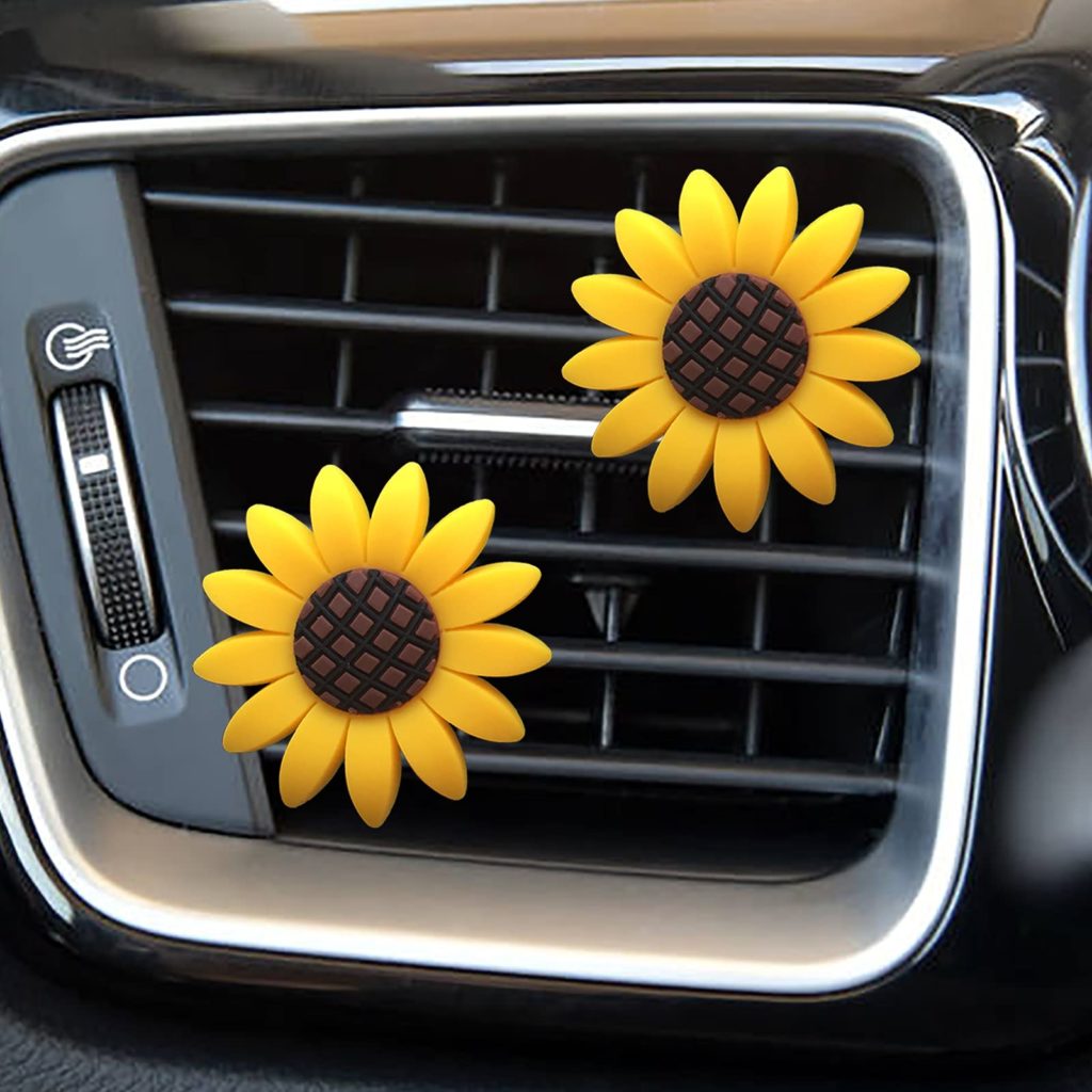 unique car accessories